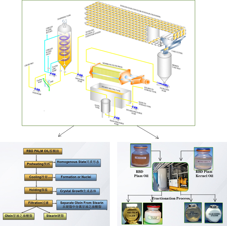 edible oil fractionation process machinery