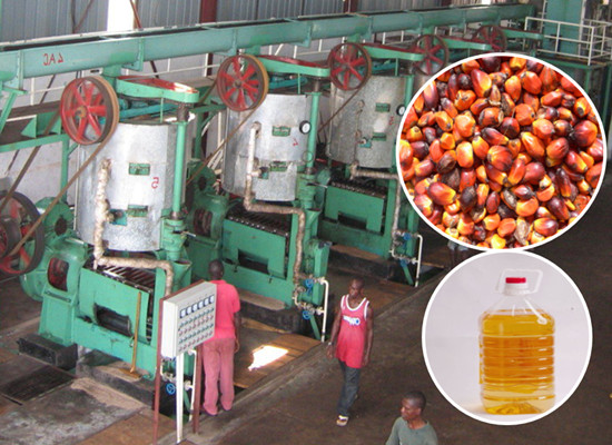 Palm oil press machine
