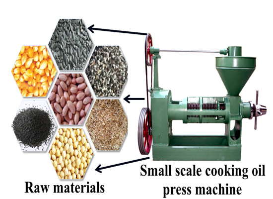 Canola oil press machine