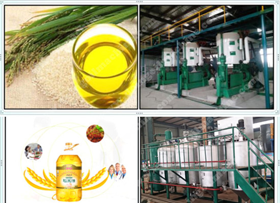 Rice bran oil solvent extraction process machinery
