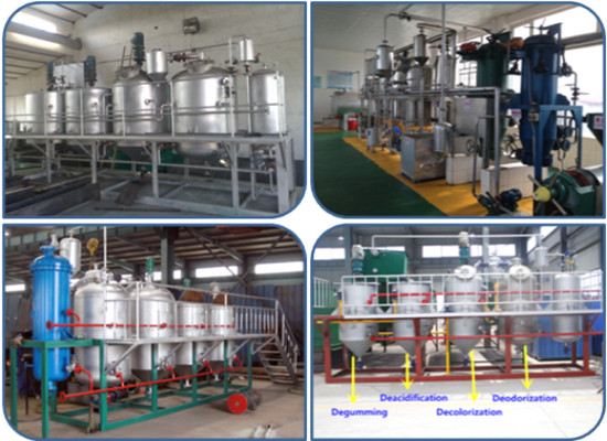 3tpd palm oil refining process machinery