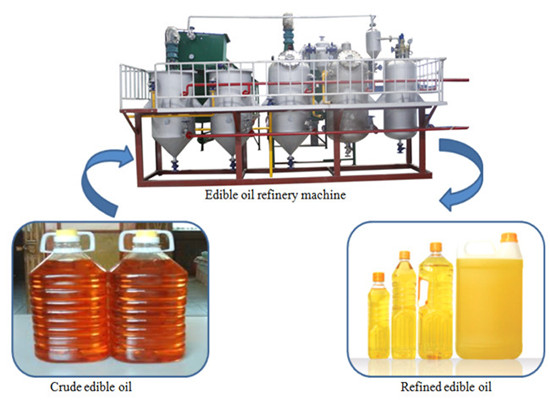 Batch type edible oil refinery plant