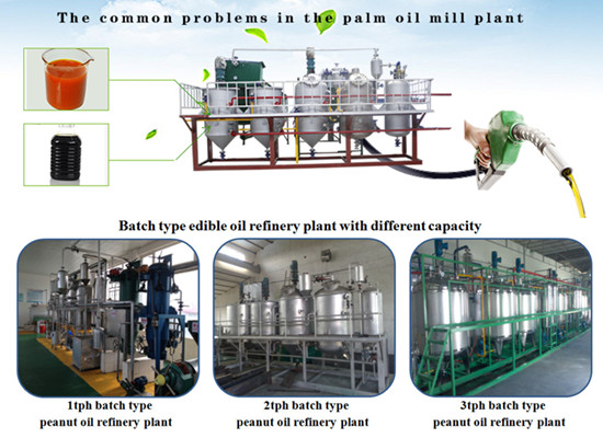 Small scale edible oil refinery