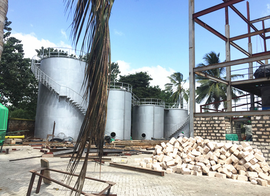 100tpd palm oil refinery & fractionation plant is installing in Kenya