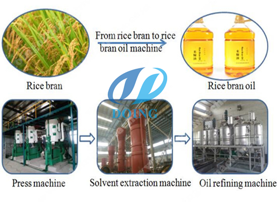 Rice bran oil production process