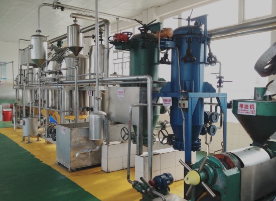 1-10TPD small scale edible oil refining plant