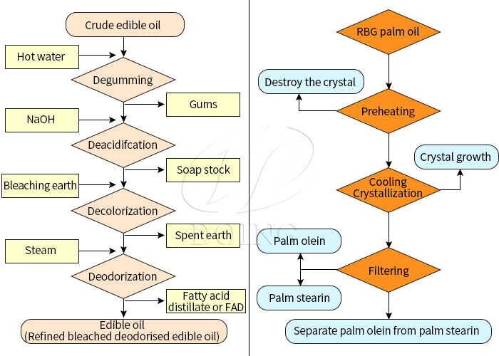 Process of palm oil refining and fractionation.jpg