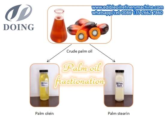 How to get palm olein and palm stearin through palm oil fractionation process?