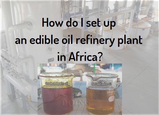 How do I set up an edible oil refinery plant in Africa?