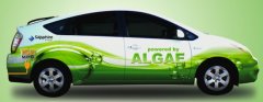 Algae Biodiesel Organization says biodiesel getting cleaner and cleaner