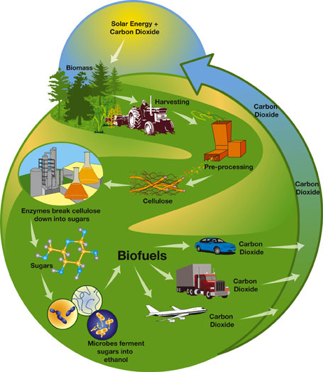 biodiesel