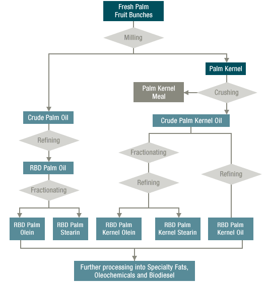 palm oil production process