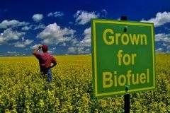 Biofuels South Africa News - Biofurl future scaning