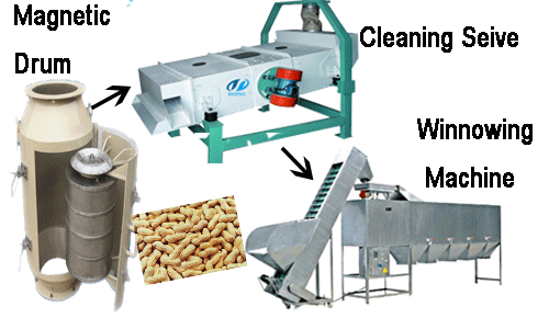 peanut oil plant