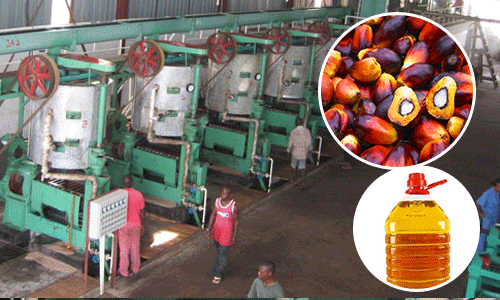 Palm oil extraction plant