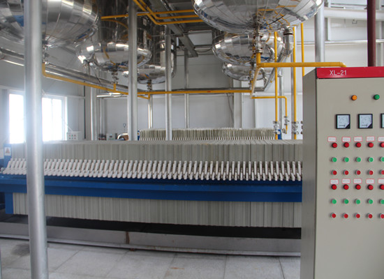 edible oil refinery plant