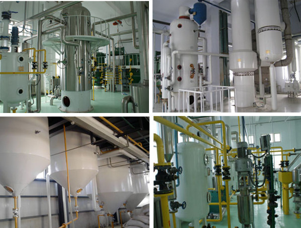 palm oil refinery plant