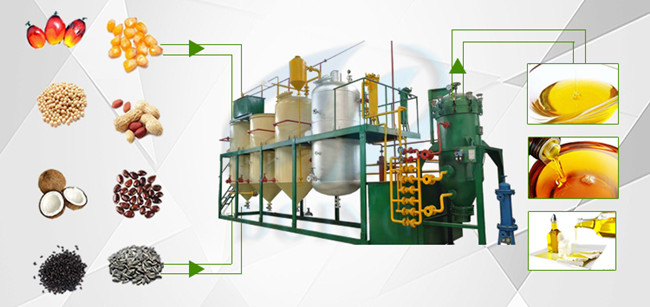 edible oil refining plant