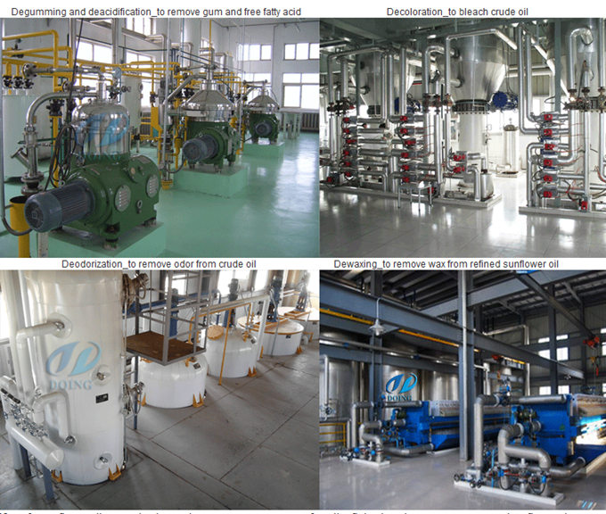 edible oil refining equipment plant