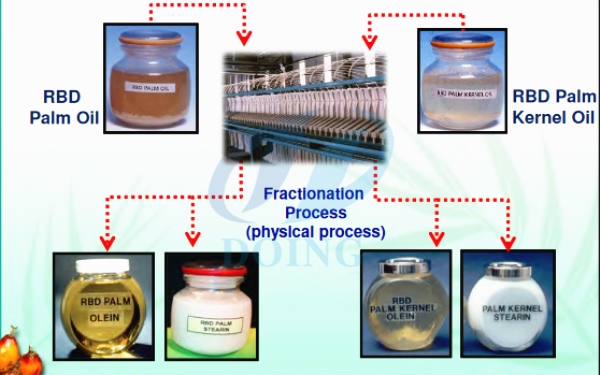 palm oil refining process