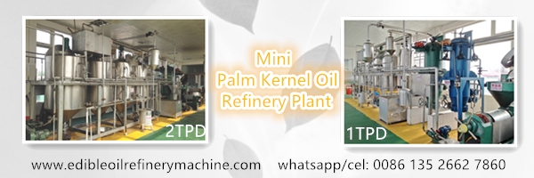 palm kernel oil refinery plant