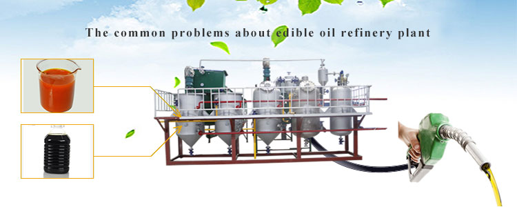 edible oil refinery plant