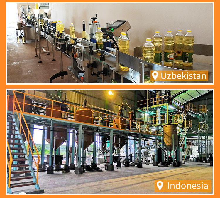 palm oil mill project