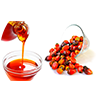 aceite de palma