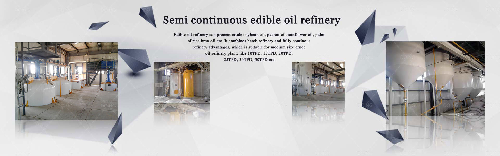 edible oil refinery plant