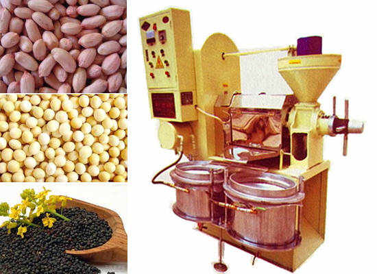 6YL-80RL cold and hot screw press machine