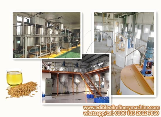 Rice bran oil refinery plant 