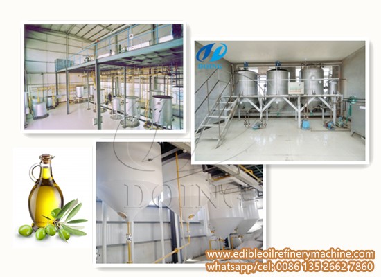 Olive oil refinery plant