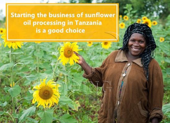 Starting the business of sunflower oil processing in Tanzania is a good choice