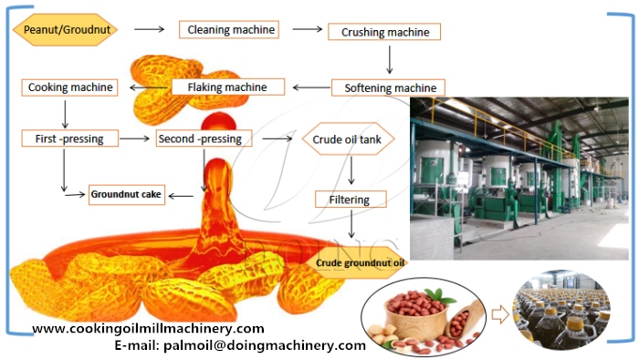 Cold pressed groundnut oil production process.jpg