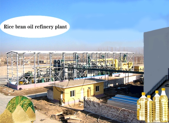 How can you guide me in constructing rice bran oil refinery plant?
