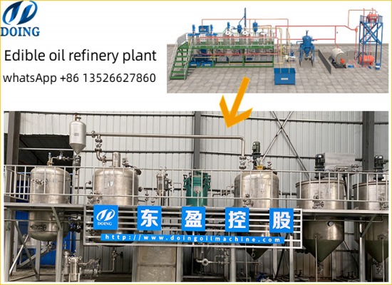 What factors need to be considered when building an edible oil refinery plant?