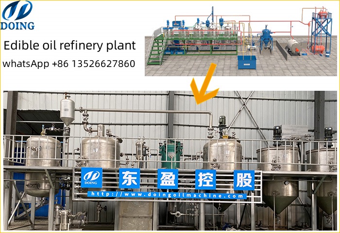 cooking oil refinery plant