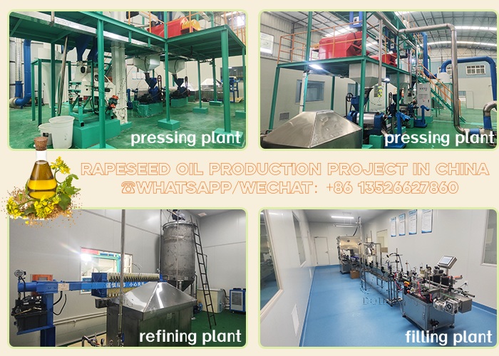 rapeseed oil processing machines