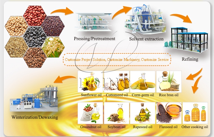 Different types of edible oil