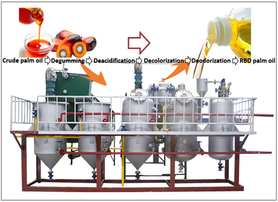 A Comprehensive Guide to Set Up a CPO Refinery Plant in Nigeria