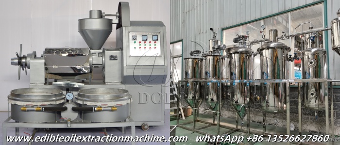 edible oil pressing machine and edible oil refinery machine.jpg