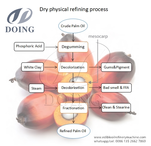 Processing of palm oil, palm kernel oil and fractionation process