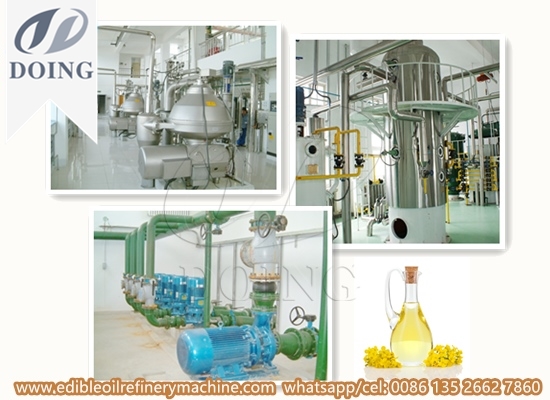 Canola/ rapeseed oil refinery plant