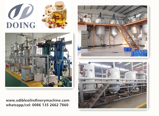 Groundnut/ Peanut oil refinery plant 