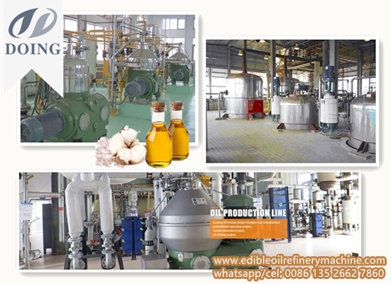 Cottonseed oil refinery plant