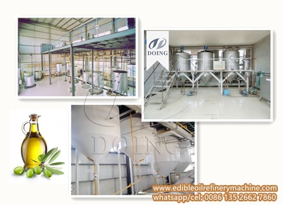 Olive oil refinery plant