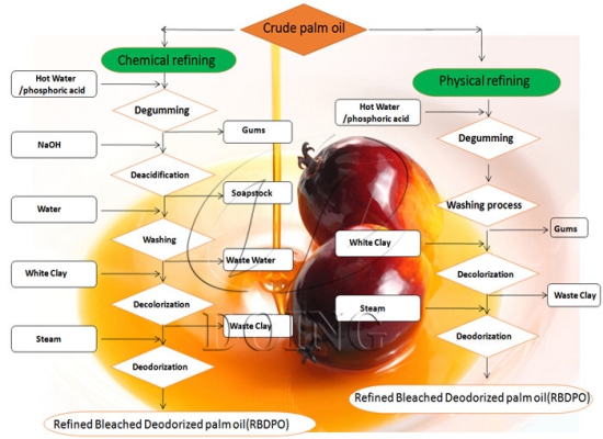 What is the difference between physical refining and chemical refining of edible oil?