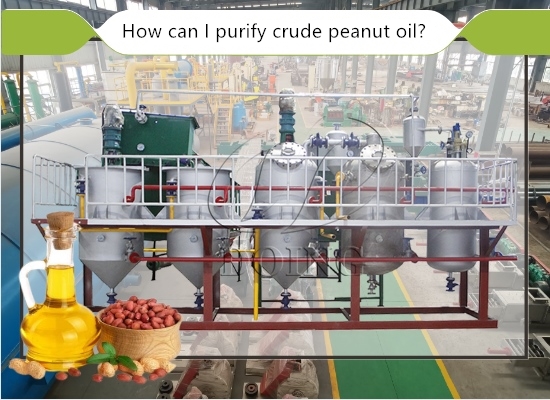 How can I purify crude peanut oil? What is the peanut oil purification process?