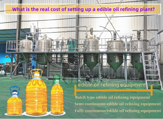 What is the real cost of setting up a edible oil refining plant?