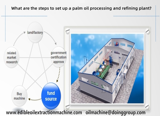 What are the steps to set up a palm oil processing and refining plant?